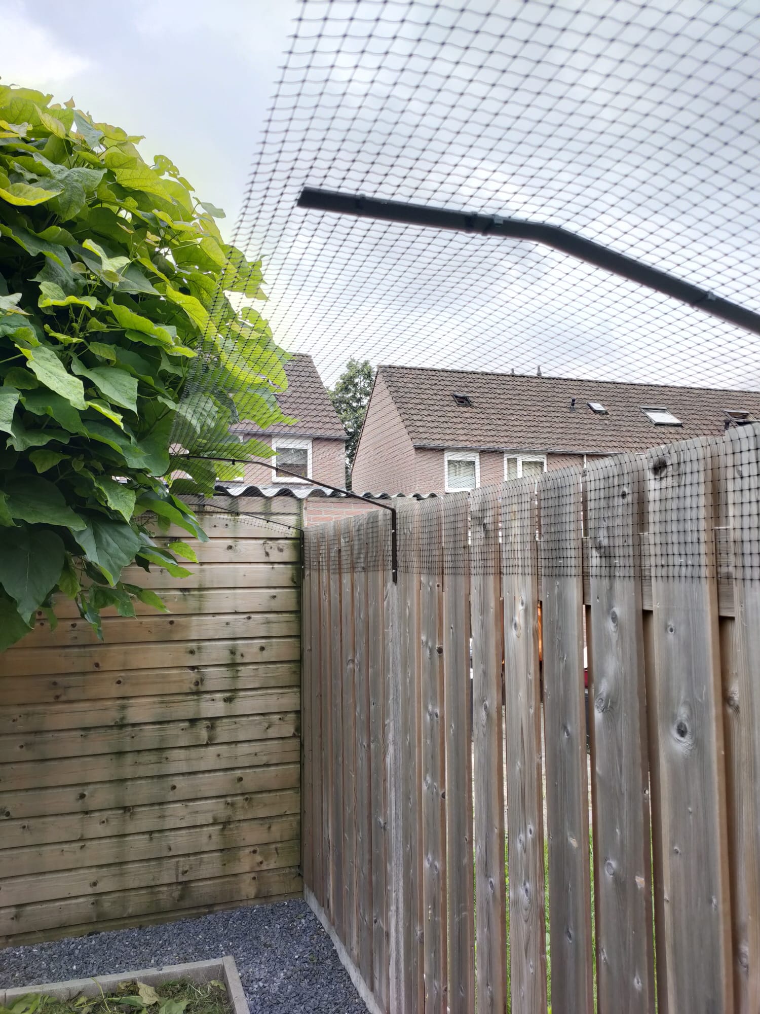 schutting met afscherming kat / poes