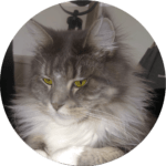 freya ongewoonboom familie