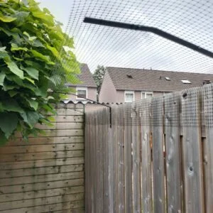 schutting hoog afscherming kat / poes