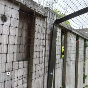 close up afscherming schutting kat / poes