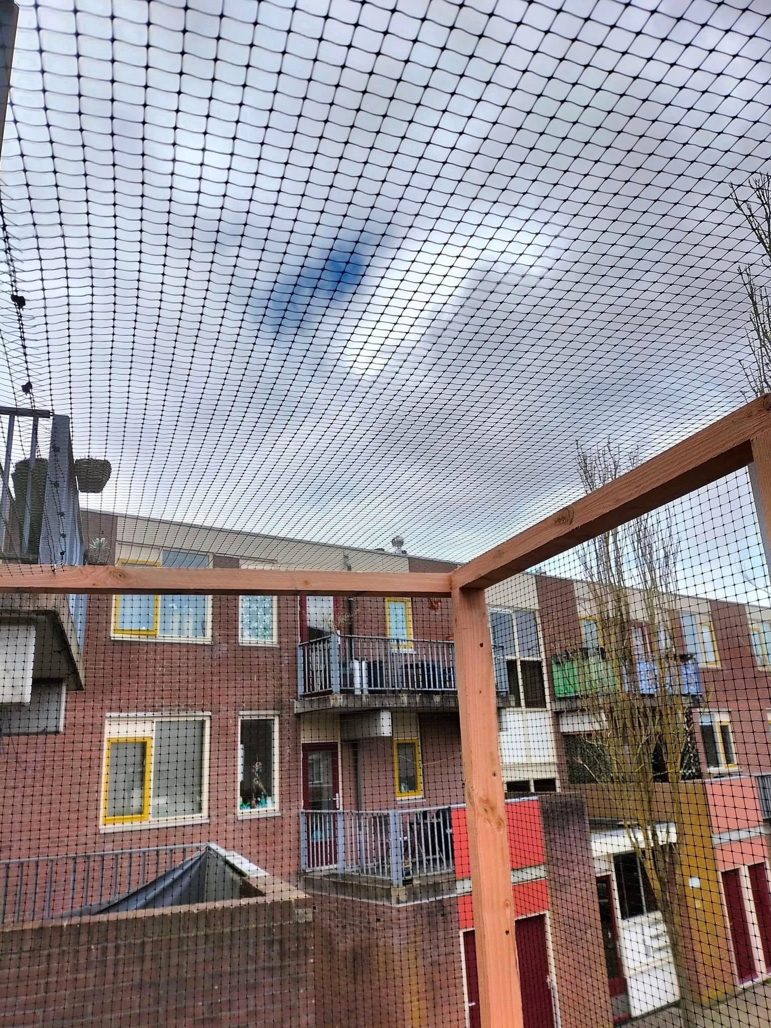 Katzensicherer Balkon mit Netz und Eckrahmen aus Holz, Blick auf Wohnhäuser