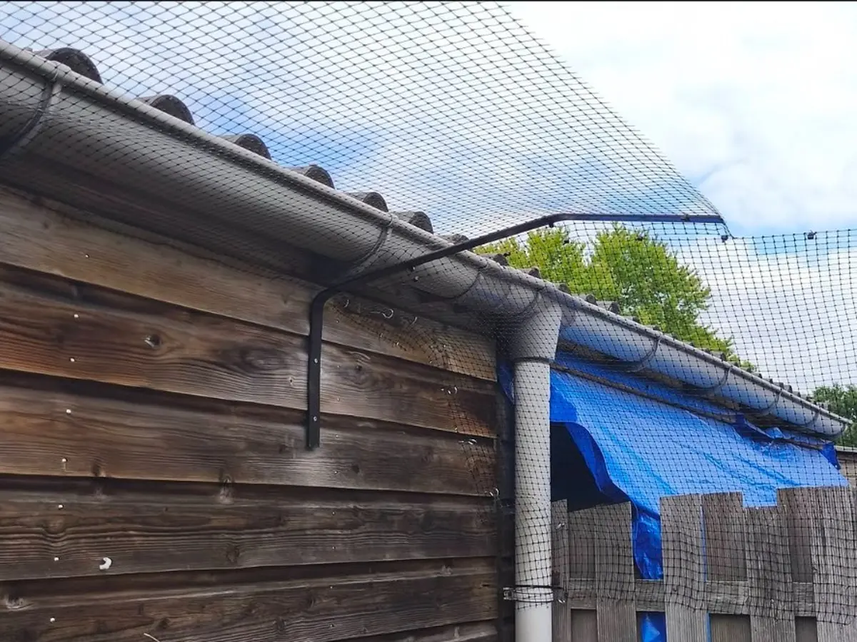 Beugel met kattennet langs schuurdak en dakgoot