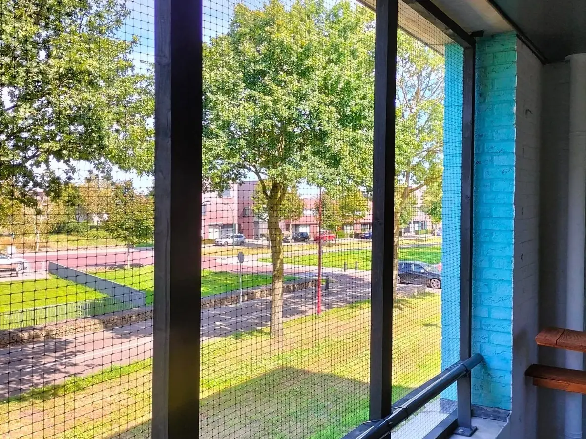 Kattennet in veranda met houten frame en vrij uitzicht