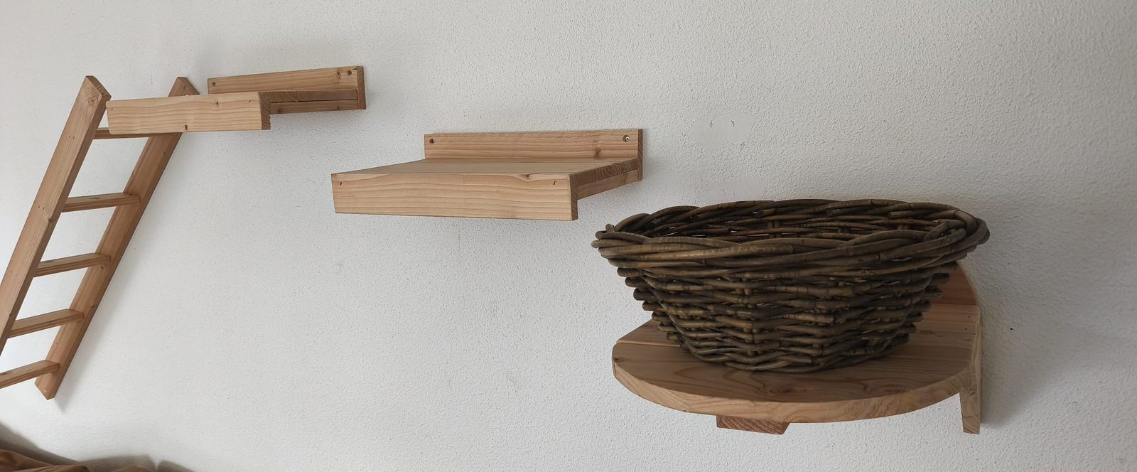 Kattenklimwand naturel van douglashout met trapje, ligplanken en ligplank met mand